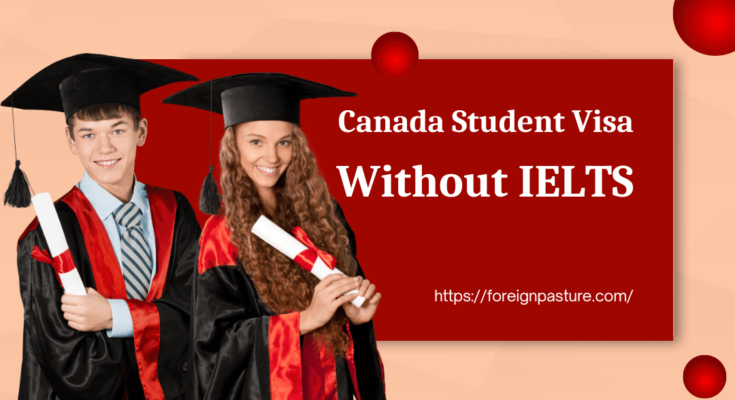 canada student visa application