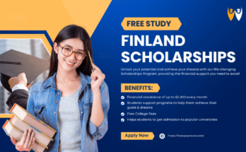 scholarship finland