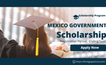 mexican government scholarship