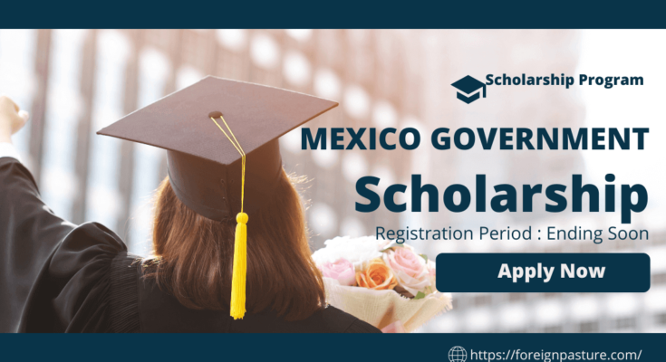 mexican government scholarship